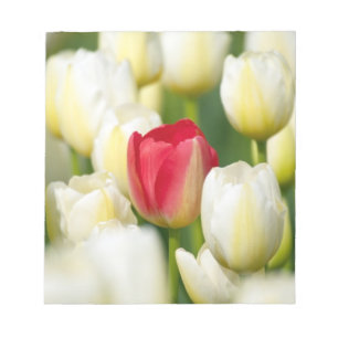Rode tulp in een veld met witte tulpen notitieblok