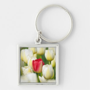 Rode tulp in een veld met witte tulpen sleutelhanger