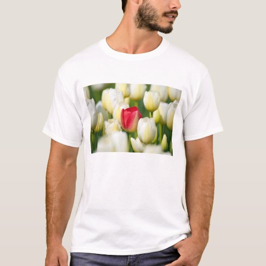 Rode tulp in een veld met witte tulpen t-shirt (Voorkant)