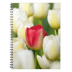 Rode tulp in een veld van witte tulpen notitieboek
