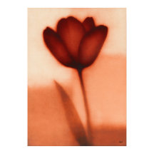 Rode Tulp Japanse Bloemige Abstractie