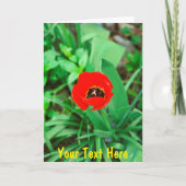  rode tulp kaart (Voorkant)