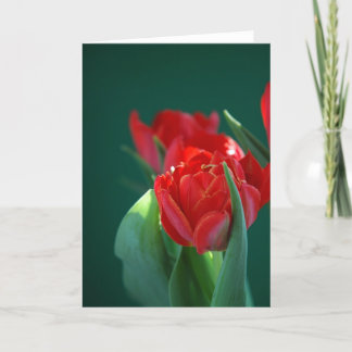 Rode Tulp Kaart
