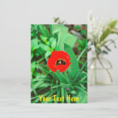  rode tulp kaart (Staand voorkant)