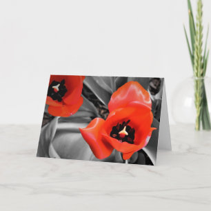 Rode Tulp, kaart