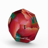 Rode Tulp Macro Foto Kunst Blok (Rechts)