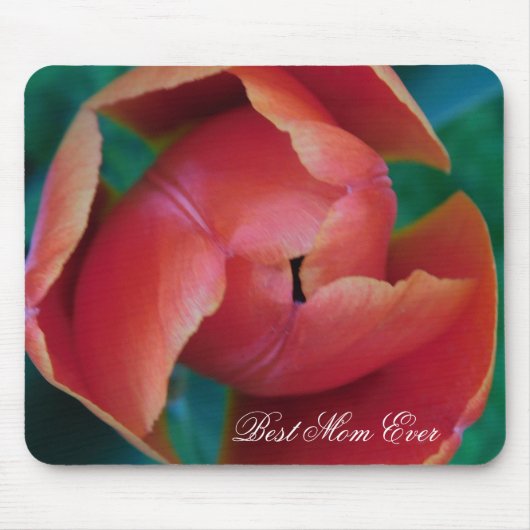 Rode Tulp Macro Foto Muismat (Voorkant)