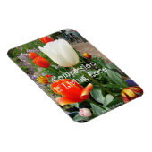 Rode Tulp Mededogen Citaat Bloemen foto Magneet (Rechterzijde)