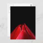 Rode Tulp Minimalistische Bloemen Briefkaart (Voorkant / Achterkant)