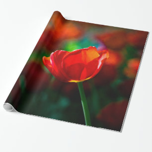 Rode tulp - Mysterie van bloei Cadeaupapier