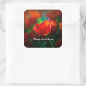 Rode tulp - Mysterie van bloei Vierkante Sticker (Tas)