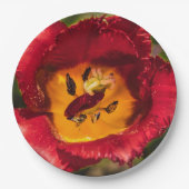 Rode tulp papieren bordje (Voorkant)