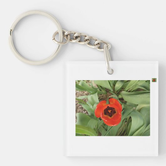 Rode Tulp Sleutelhanger (Voorkant)