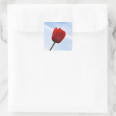 Rode Tulp Sticker (Tas)