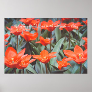 Rode tulp veldposter poster