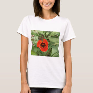 Rode Tulp Vrouwen T-Shirt