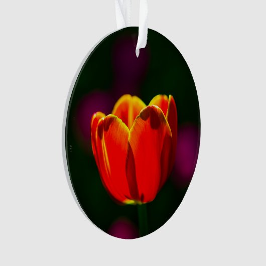 Rode tulpbloem ornament (voorkant)