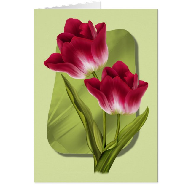Rode tulpen (Voorkant)