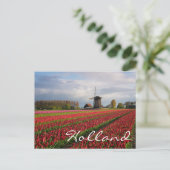 Rode tulpen en een windmolen briefkaart (Staand voorkant)