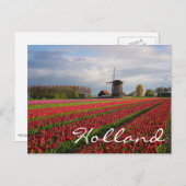 Rode tulpen en een windmolen briefkaart (Voorkant / Achterkant)