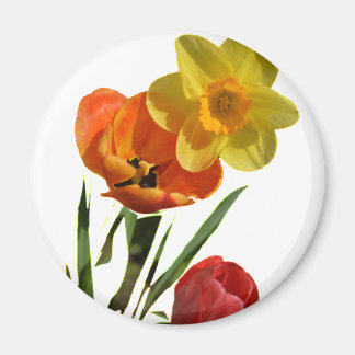 Rode tulpen en gele daffodilbloemen magneet