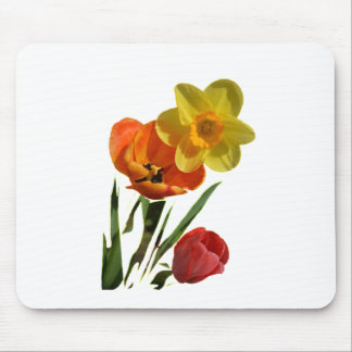 Rode tulpen en gele daffodilbloemen muismat