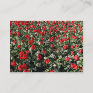 Rode Tulpen en primrozen Visitekaartje