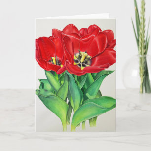 Rode tulpen feestdagen kaart