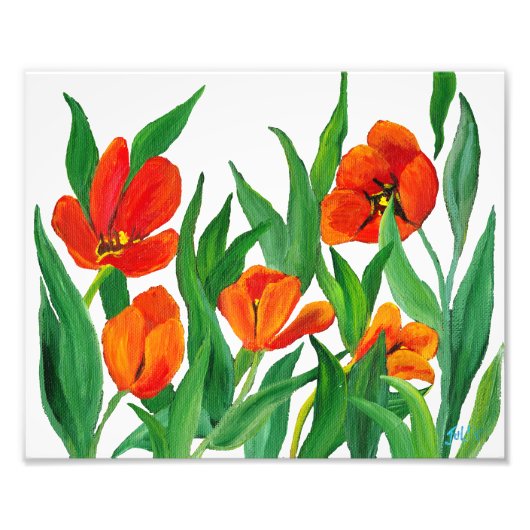 Rode tulpen foto afdruk (Voorkant)