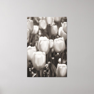 Rode tulpen fotografische afdruk. canvasafdruk canvas afdruk