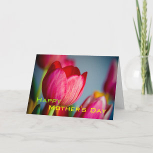 Rode tulpen · Happy Moederdag Kaart