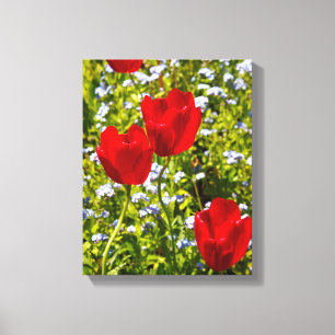 Rode tulpen in het veld canvas afdruk