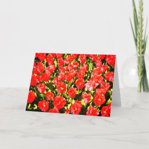 Rode tulpen kaart