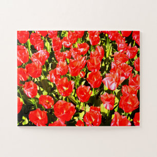 Rode tulpen legpuzzel