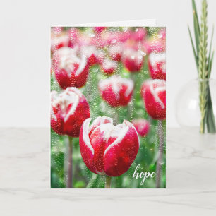 rode tulpen met regendruppels op raam medeleven kaart