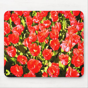 Rode tulpen muismat