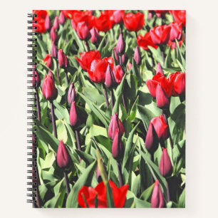 Rode tulpen notitieboek