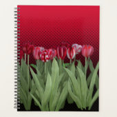 Rode Tulpen op gradiënt Planner (Voorkant)