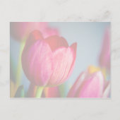 Rode Tulpen · Save the Date Briefkaart (Achterkant)
