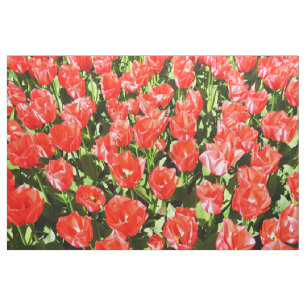 Rode tulpen stof