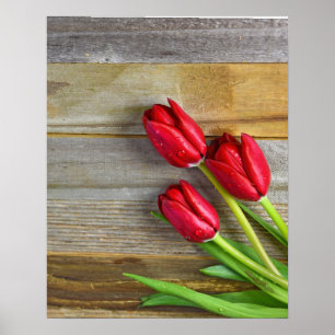 rode tulpen van bijthout poster
