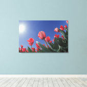 Rode tulpen vanuit een zeer lage hoek, Cincinnati, Canvas Afdruk (Insitu (Houten vloer))