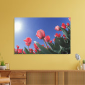 Rode tulpen vanuit een zeer lage hoek, Cincinnati, Canvas Afdruk (Insitu (Woonkamer))