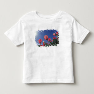 Rode tulpen vanuit een zeer lage hoek, Cincinnati, Kinder Shirts