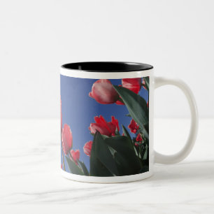 Rode tulpen vanuit een zeer lage hoek, Cincinnati, Tweekleurige Koffiemok
