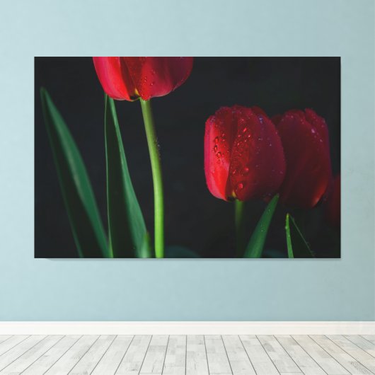 Rode Tulps met omhuld Canvas (Insitu (Houten vloer))
