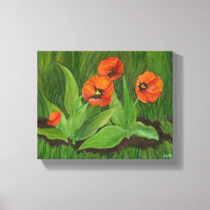 Rode Tulps met omhuld Canvas Afdruk