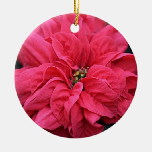 Rode Vakantie Poinsettia Ornament (Voorkant)