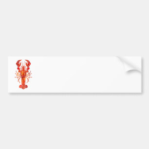 Rode veelhoekige kreeft bumpersticker