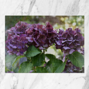 Rode Violet Hydrangea Bloeit Bloemig Snijplank